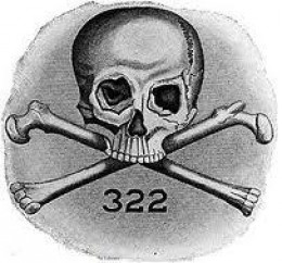 SKULL 322.jpeg