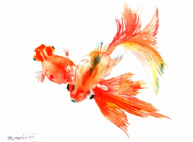 goldfsih