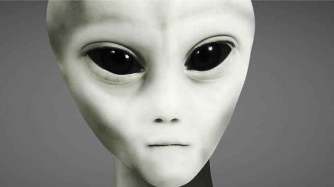 34_close_up_of_Tall_Grey