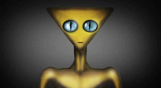 40_close_up_of_Golden_Triangle_Head