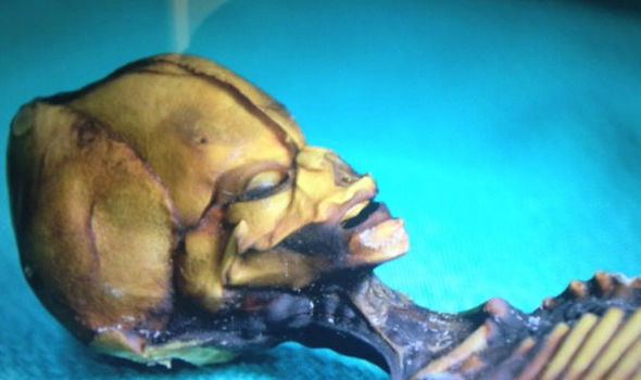 Atacama-Humanoid-770748