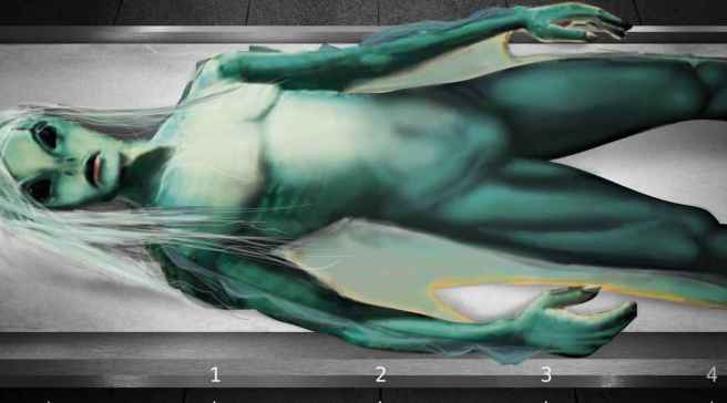 5_dolphin_et_502bbe5723c3df0e18be6525479b6032_1600x0