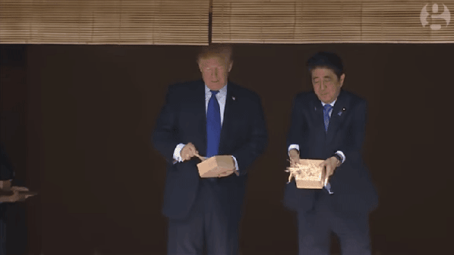 cnn-fishfeeding-edits_1516223981