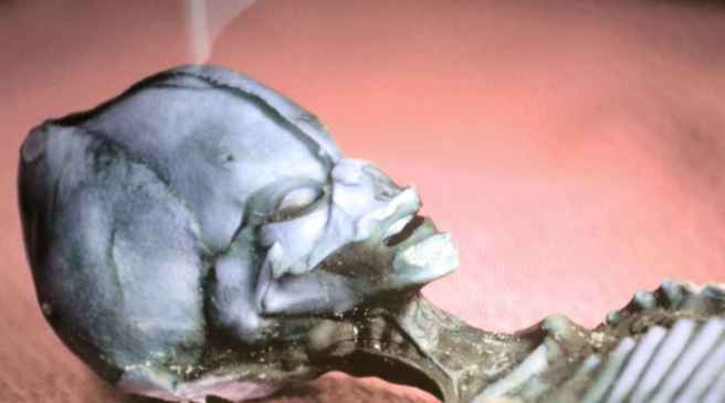 11_atacama_being_3_d39695b6572483cddfbdc28b502b3418_1600x0