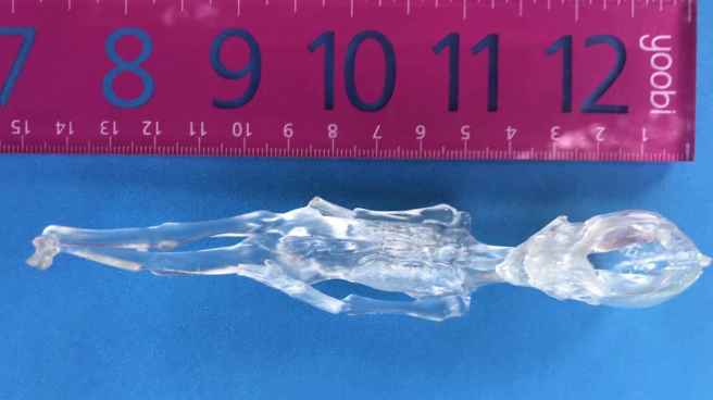 12_atacama_being_replica_6c476d58658914e9e2fd7ae4579f299a_1600x0