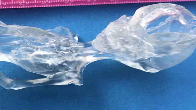 13_closeup_of_ata_being_head_b2c426d67fb858bece5e5962c25b5fb5_1600x0