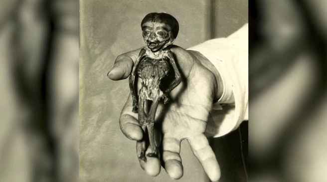 19_attaboy_2_590c21bcc0e1ae309fba6fef3501ba1c_1600x0