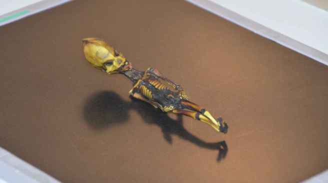 22_ata_being_4_27643a42bc6e31e254c739805cd7909f_1600x0