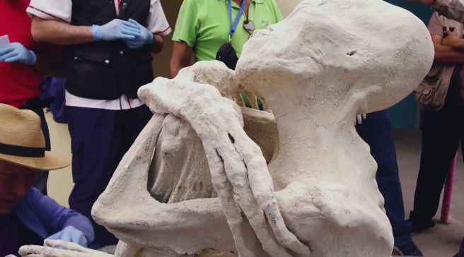 6_nazca_mummy_0f3013ec87134b6e328c73257038d9f9_1600x0