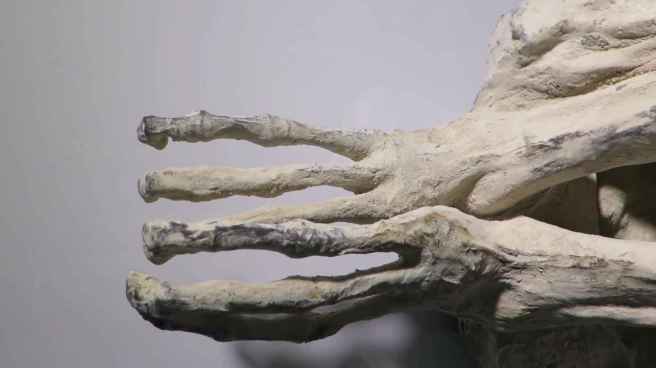 7_nazca_mummy_three_toes_a13b7d6b48f0c52e967105126163c2ed_1600x0