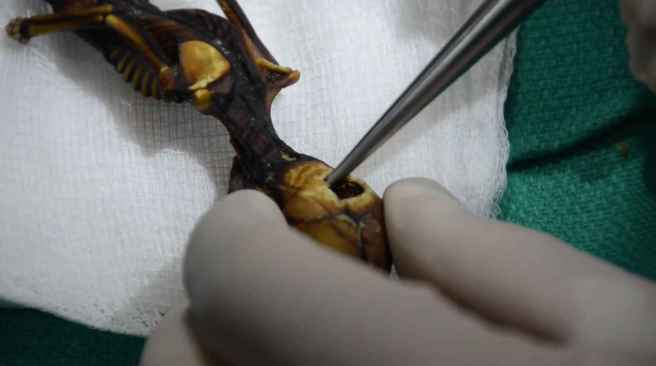 9_atacama_being_29fbc1e5b4d7793fafaecdb5318bf35f_1600x0