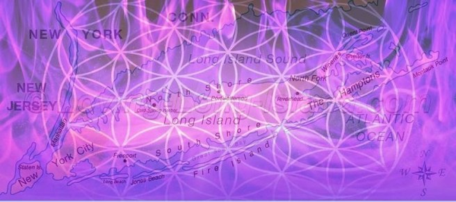 longislandvioletflower