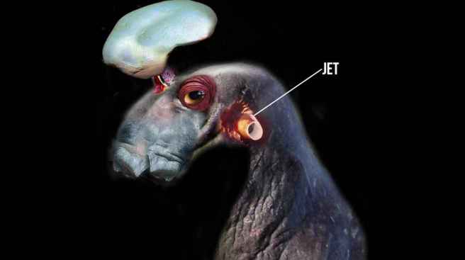 4_aquatic_being_head_9a274e8115b2f3ad5296793cb7b12017_1600x0