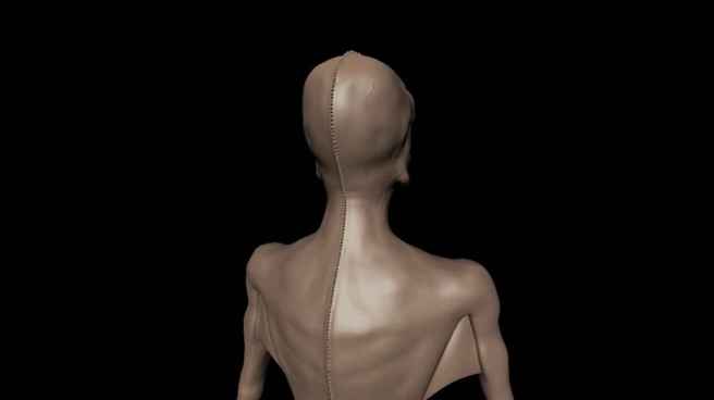 7_aquatic_being_from_behind_203cb7e9170477d68d9945abfd29d59a_1600x0