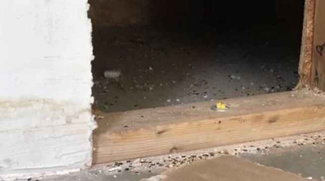 8_wall_cut_open_80ac309275e097cfe3a8b24851926fa3_1600x0