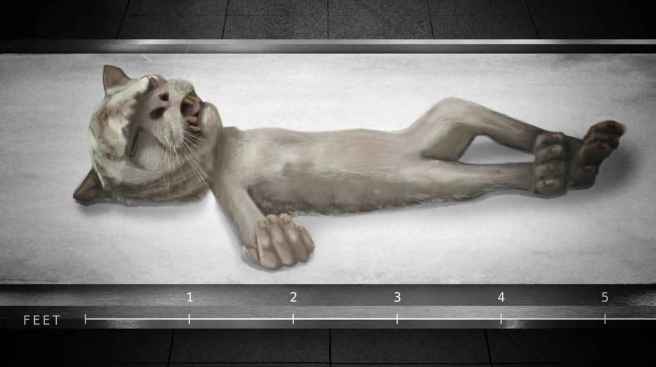 3_tiger_human_hybrid_3ac960a9daeeb02679a9752da578b81f_1600x0