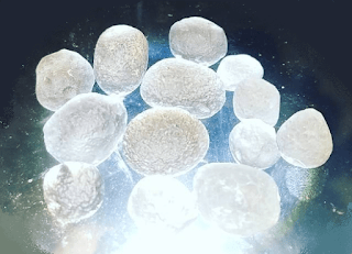 Screenshot-2017-12-11 Instagram post by Alan Vargas • Dec 11, 2017 at 7 03pm UTC