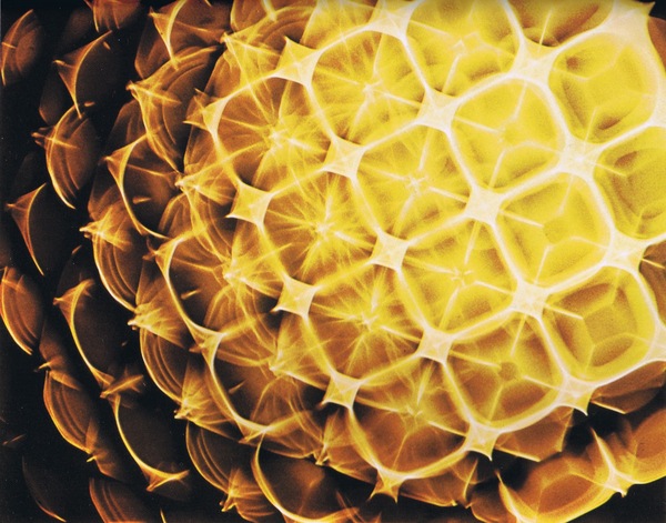 cymatics-turpentine-thumb-600x471-29019