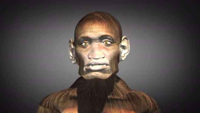 2_simian_people_9b2658bf481a48a7aa29a6008e2a169b_1600x0