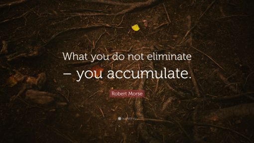 6321738-robert-morse-quote-what-you-do-not-eliminate-you-accumulate