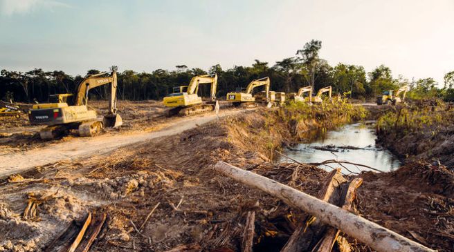 bulldozers_rainforest