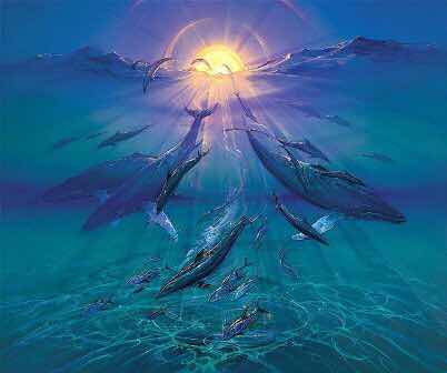 whales1