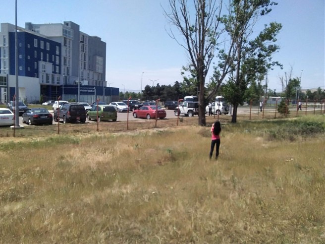43