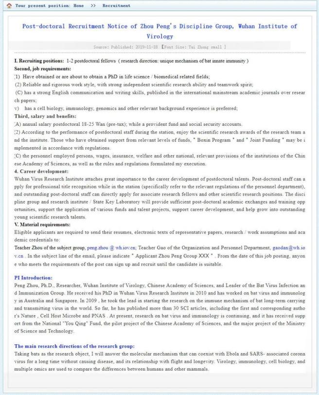 wuhan bat google translated